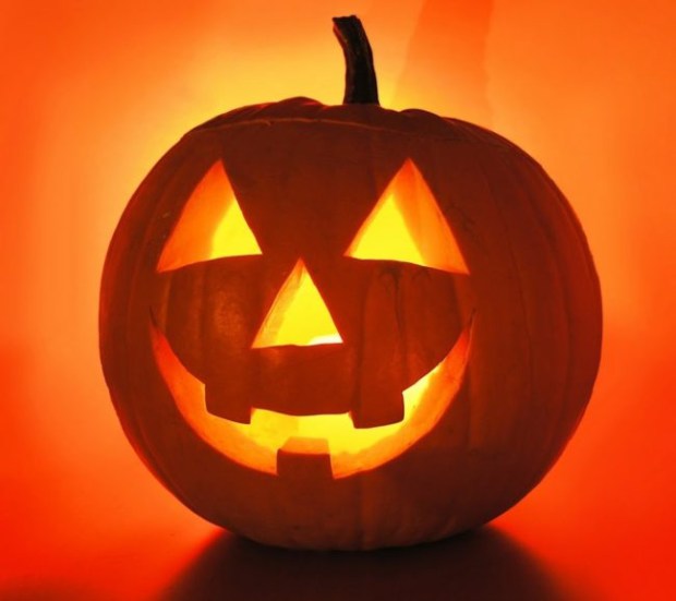 A Lazy Person Accidentally Created The Cutest Jack-O-Lantern Ever Made